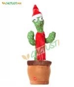 cactus-papa-noel