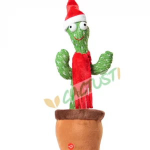 cactus-papa-noel