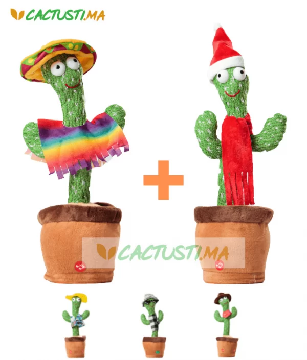 Pack-2-cactus-jouet